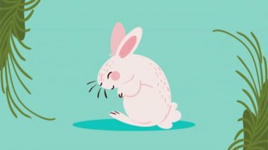 şirin beyaz brabbit hayvan animasyonu, 4k video animasyonu