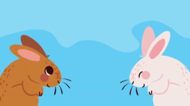 Sevimli tavşanlar çiftlik karakterleri, 4k video animasyonu