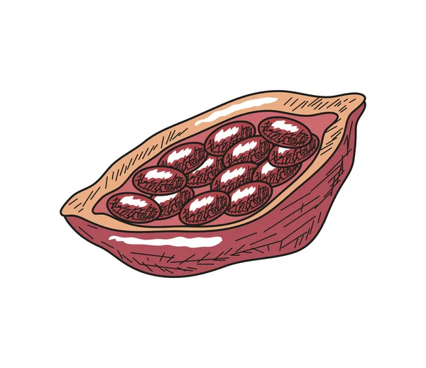 Какао Бобы Суперпродовольственной Изолированной Иконки Плоской — стоковый вектор