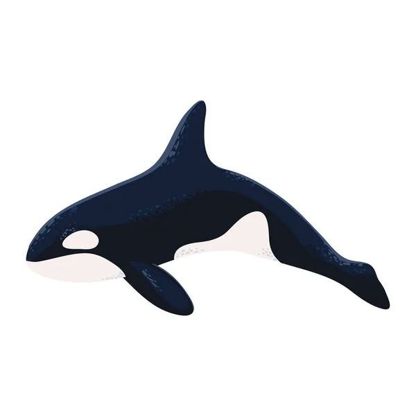 Orca Whale Icon Isolated Flat — Διανυσματικό Αρχείο
