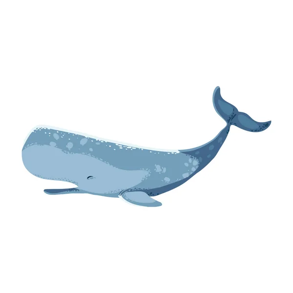 Sperm Whale Icon Isolated Flat — Stock Vector