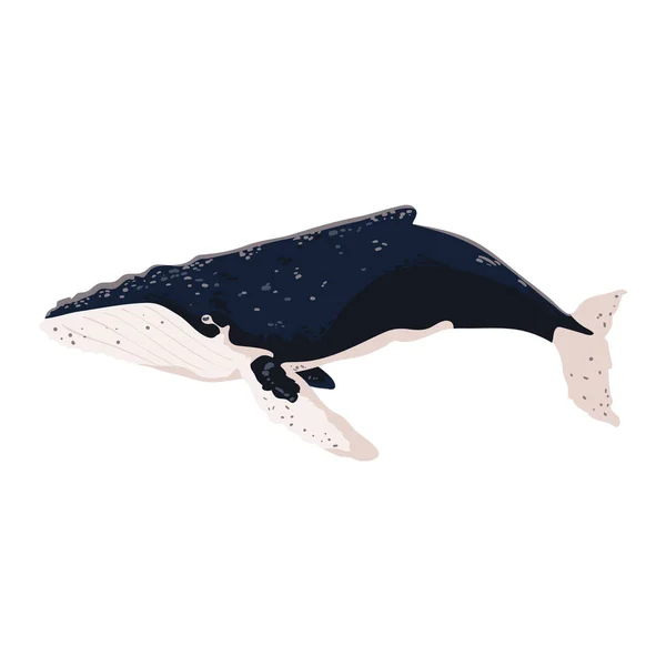 Humpback Whale Icon Isolated Flat — Vector de stock