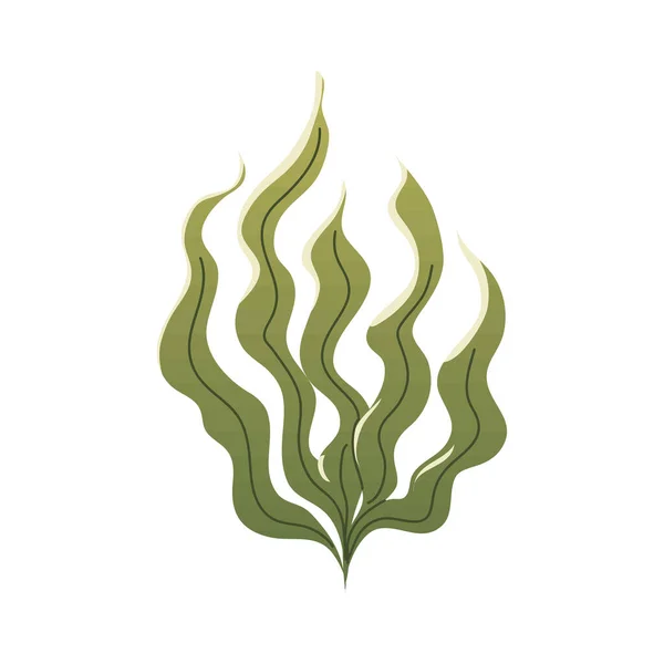 Seaweed Sea Plant Icon Isolated — Stok Vektör