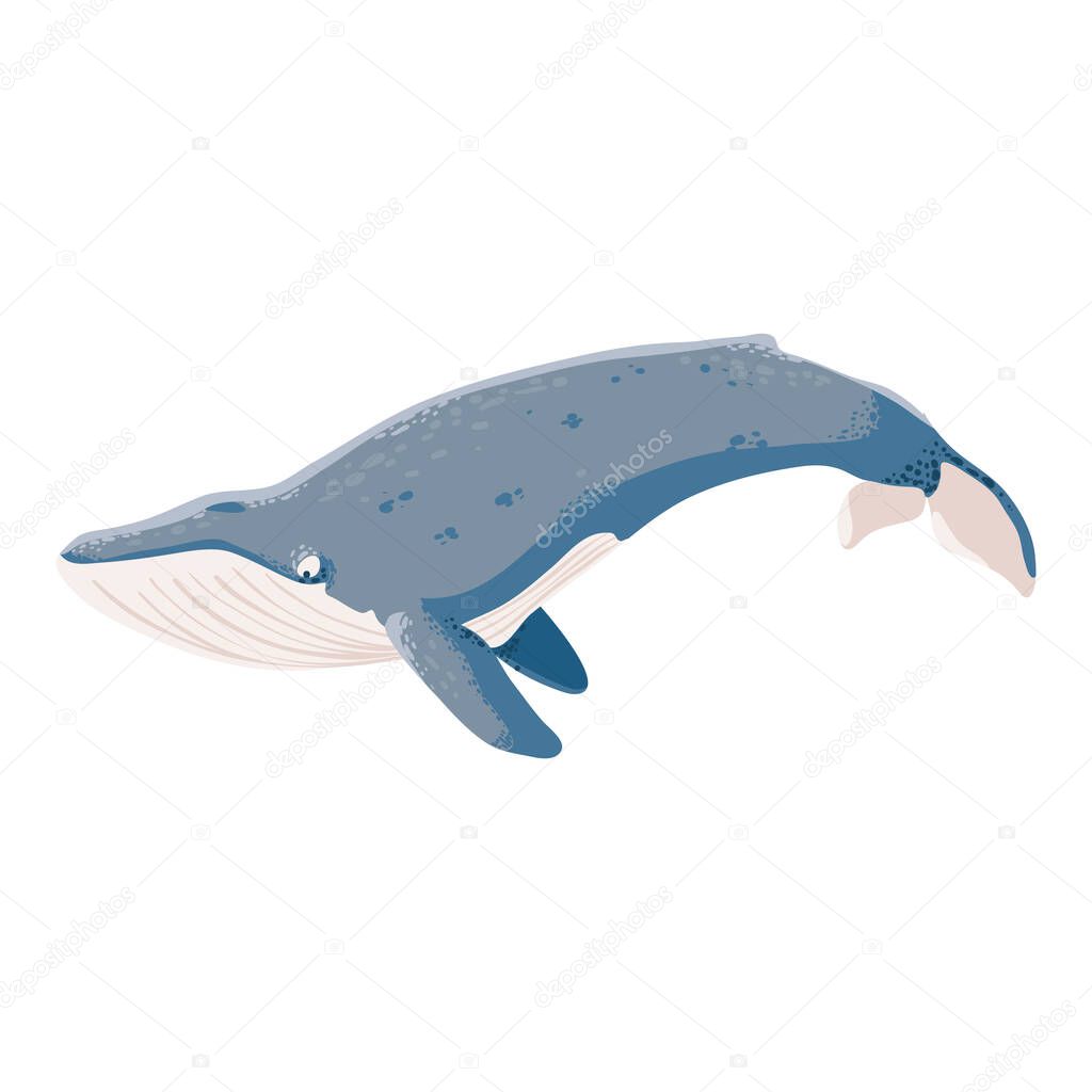 blue whale icon isolated flat
