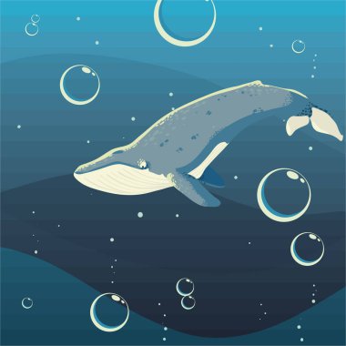 Mavi balina deniz kabarcıkları sahnesi
