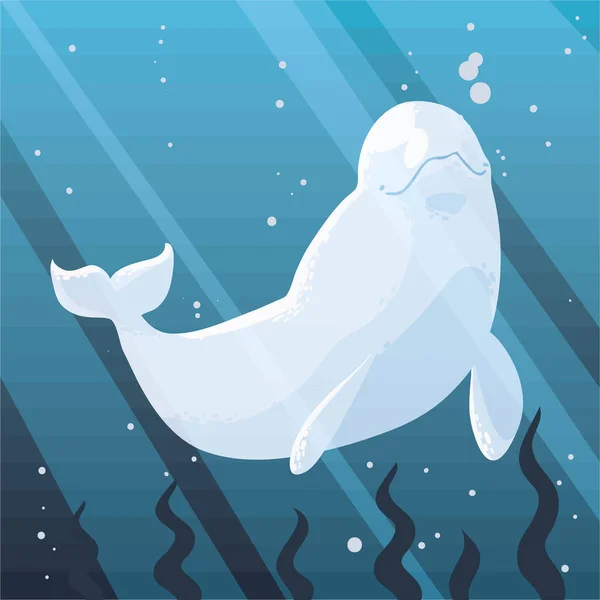 Beluga Underwater Seaweed Image — Vetor de Stock