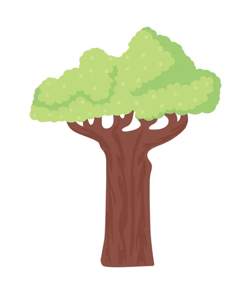 Baobab Tree Icon Isolated Flat — Stok Vektör