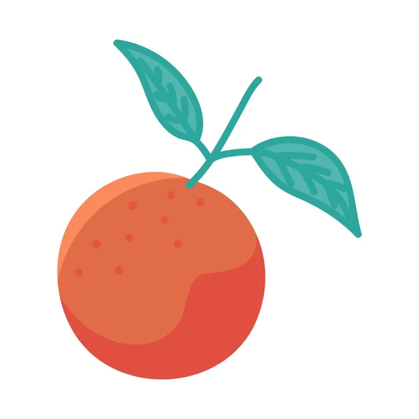 Oranje Fruit Pictogram Geïsoleerd Plat — Stockvector