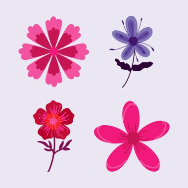 Şirin çiçek yaprakları.