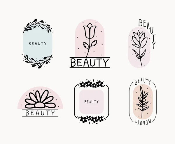 Set Beauty Labels Flowers Icons — Stock Vector