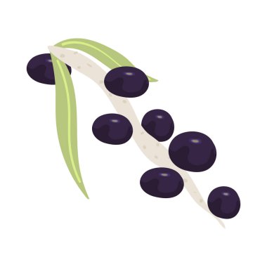 acai doğa simgesi izole edilmiş daire