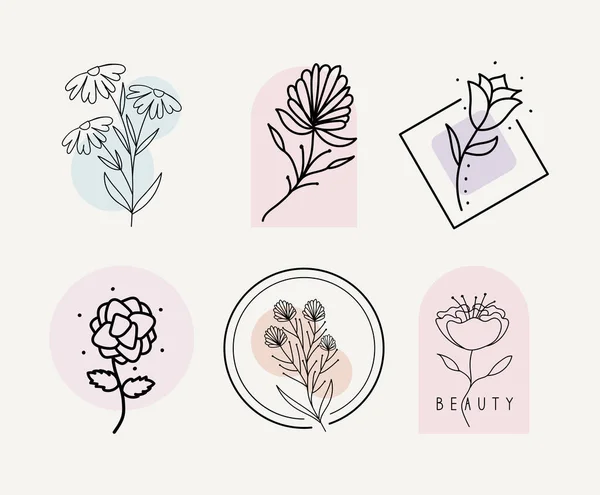 Set Flower Labels Decoration Icons — Stock vektor