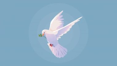 peace dove bird flying animation ,4k video animated