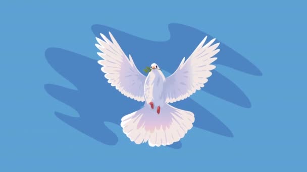 Dove Bird Flying Front Animation Video Animated — Αρχείο Βίντεο