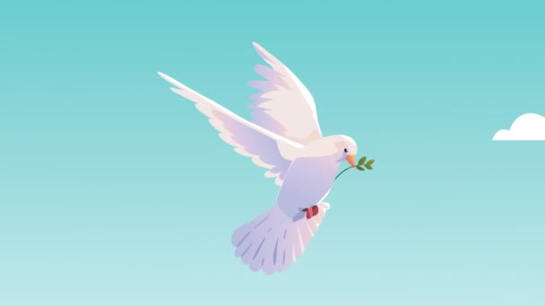 Dove Bird Flying Sky Animation Video Animated — Video Stock