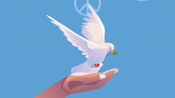 Güvercin Uçan Kuş Animasyonu Ile Video Animasyonu — Stok video