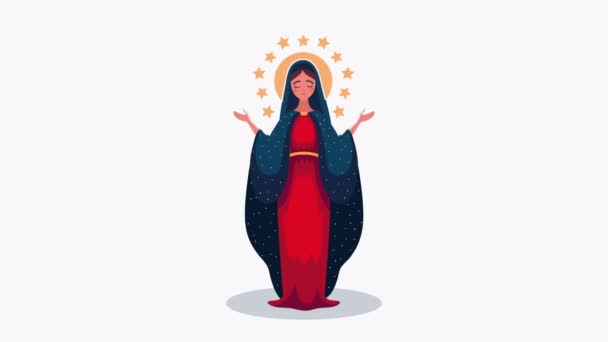 Mary Virgin Red Suit Animation Video Animated — Vídeo de Stock