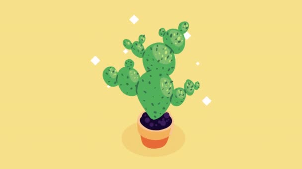 Cactu Pot Mexican Plant Video Animated — 图库视频影像