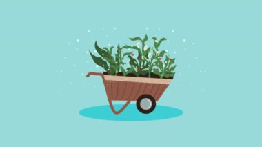 wheelbarrow tool with plants ,4k video animated