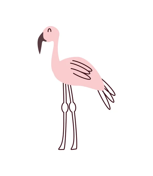 Cute Flamingo Animal Icon Isolated — Stockový vektor