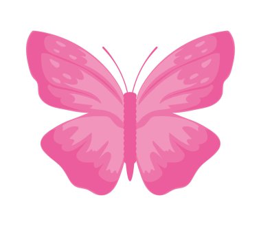 pembe kelebek simgesi izole edildi