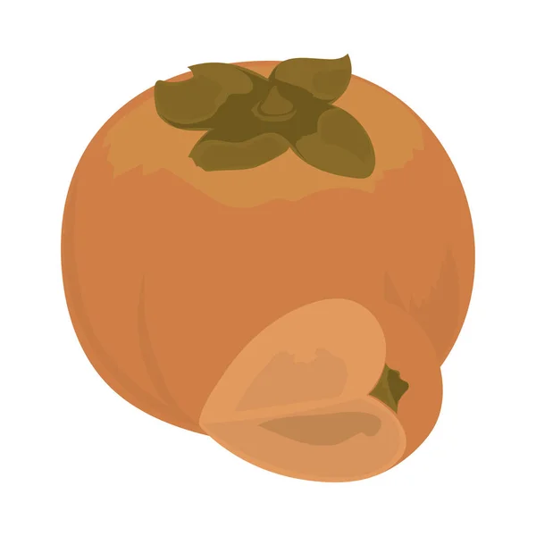 Persimmon Fruit Icon Flat Isolated — 스톡 벡터