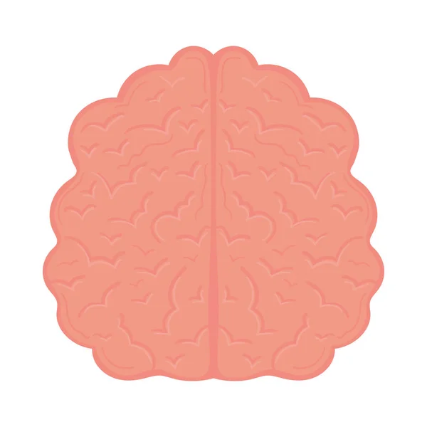 Human Brain Icon Flat Isolated — Archivo Imágenes Vectoriales