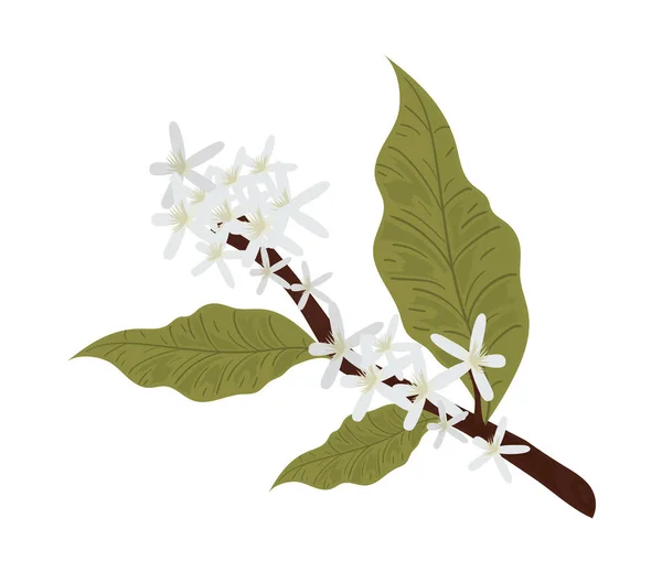 Branch Tree Flowers Icon Isolated — Stockvector