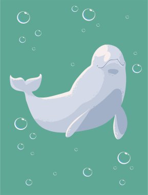 beluga whale with bubbles sea