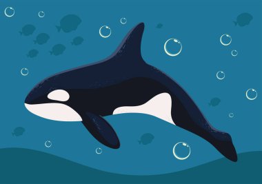 orca whale marine life with bubbles