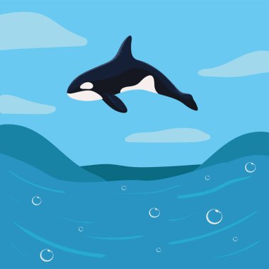 orca whale on ocean, vector design