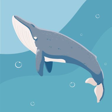 Mavi balina deniz kabarcıkları sahnesi