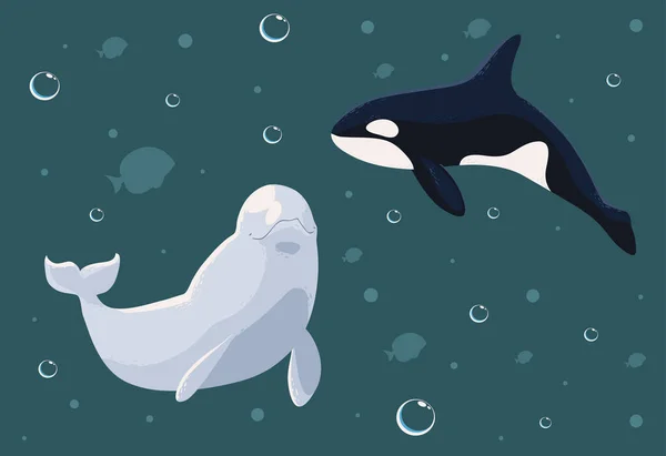 Beluga Whale Orca Bubbles Sea — Stockvektor