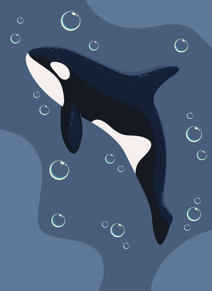 Orca Whale Bubbles Sea Life — Vetor de Stock