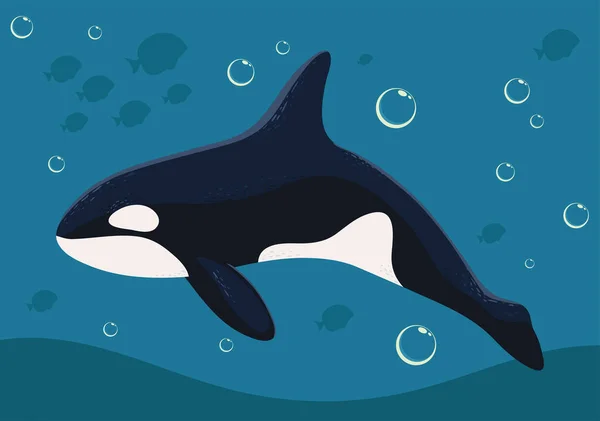 Orca Whale Marine Life Bubbles — Stockvektor