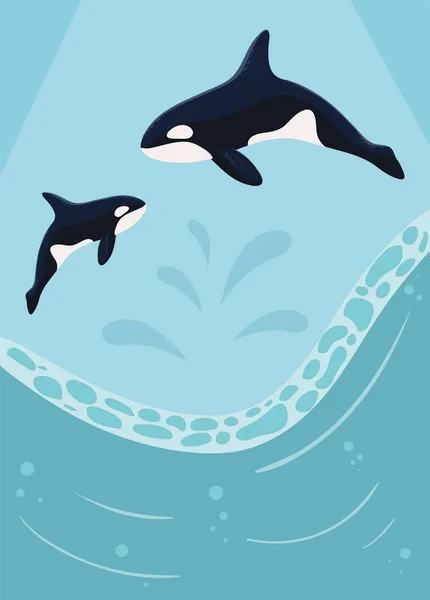 Orca Whales Marine Life Vector Style — Vetor de Stock