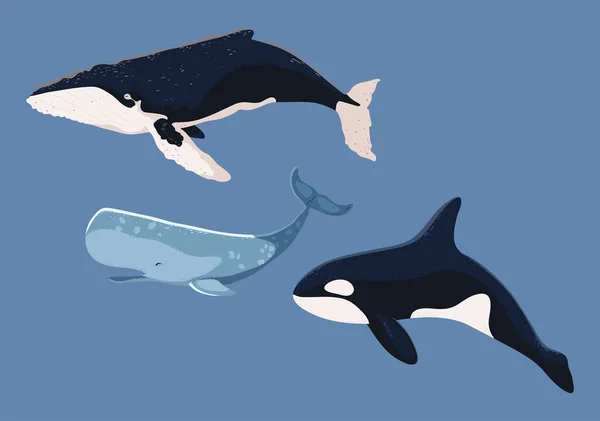 Icons Whales Sea Life Flat Design —  Vetores de Stock