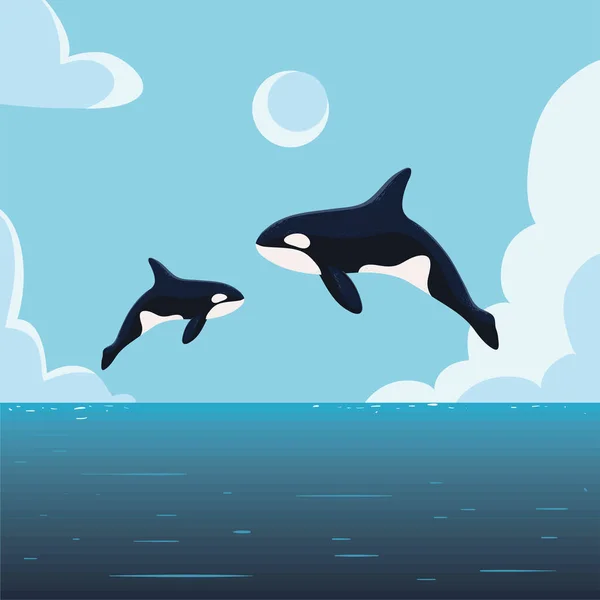 Jumping Orca Whales Seascape Design — Archivo Imágenes Vectoriales