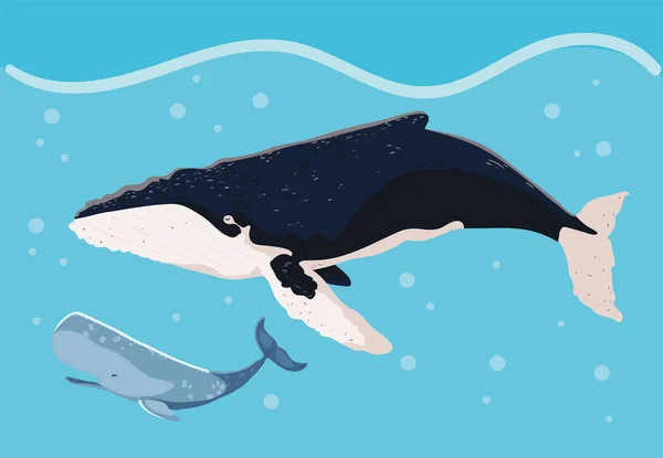 Blue Humpback Whales Underwater —  Vetores de Stock