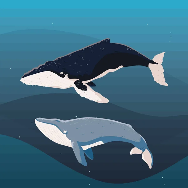 Whales Underwater Life Vector Design — Archivo Imágenes Vectoriales