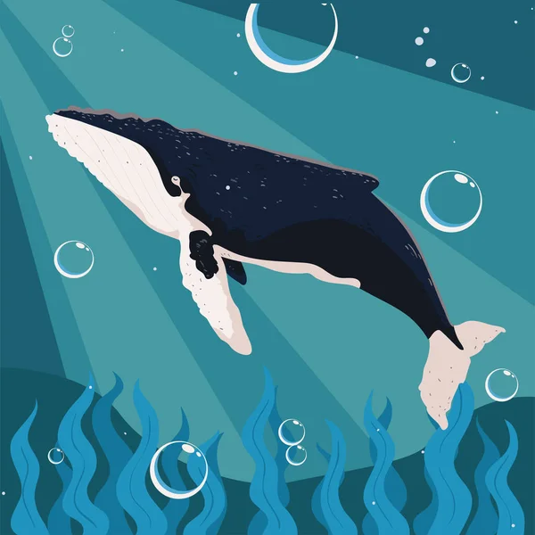 Humpback Whales Ocean Design — Archivo Imágenes Vectoriales