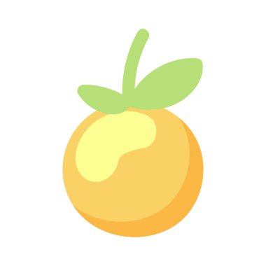 orange fruit organic icon isolated