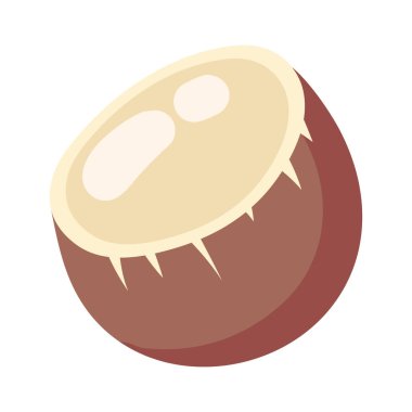 tropical coconut fruit organic icon isolated