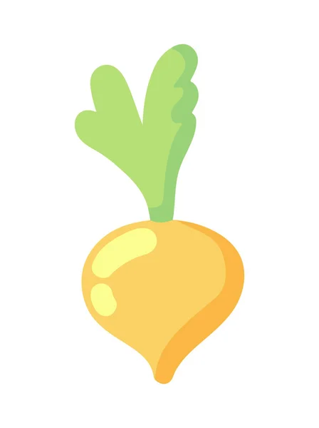 Onion Vegetable Organic Icon Isolated — ストックベクタ