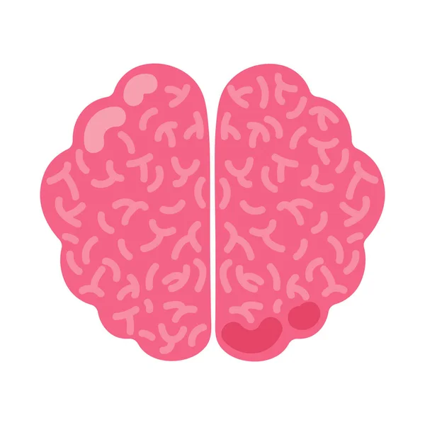 Ícone Desenho Animado Cérebro Humano Isolado — Vetor de Stock
