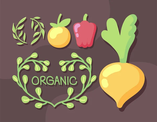 Food Fresh Organic Design — Vettoriale Stock