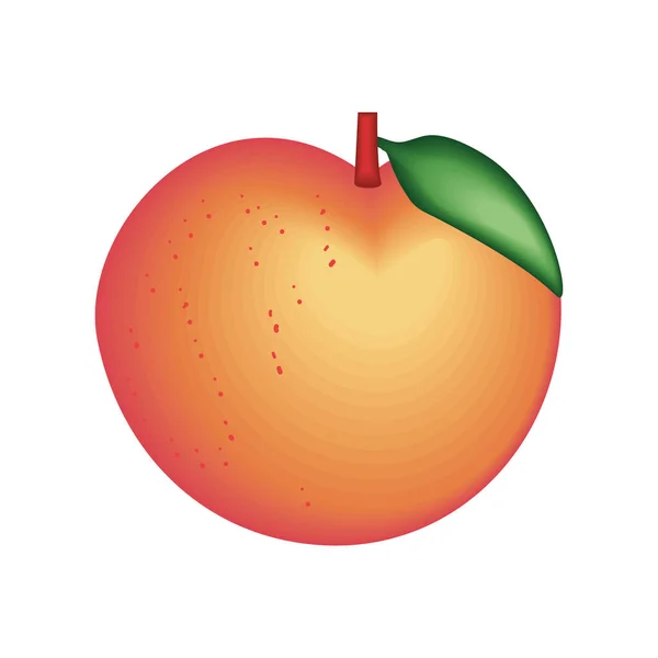 Realistic Fruit Peach Isolated Icon — Vector de stock