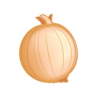 realistic vegetable onion isolated icon