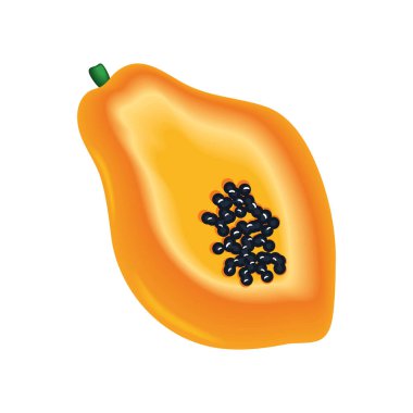 realistic fruit papaya isolated icon
