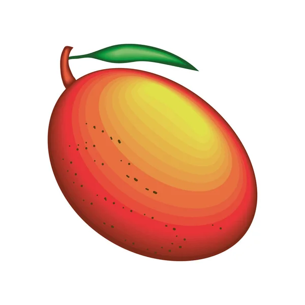 Realistic Fruit Mango Isolated Icon — Vetor de Stock